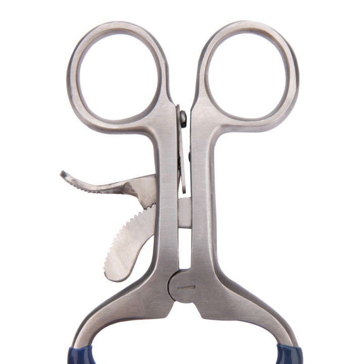 Pet%20Mouth%20Retractor%20Opener%20Oral%20stainless%20steel%20Molt%20Gag%20Scratch-Proof%20surgical%20Instrument%20Products%20Tools%20-%20Image%206