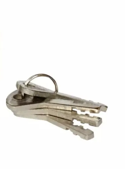 Door%20Lock%20Rolinson%2040%20mm%20(%20Tala%20Chabi)%20-%20Image%205