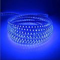 Blue Flexible Rope Led Strip light Water Proof and multiple sizes to choose for indoor and outdoor use long life bulbs rope lights. 