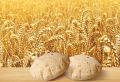 sun atta pure white atta 5 kg bag best quality and pure white flour. 