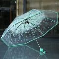 korean Transparent Umbrella Gear - Orchid Grey - "Suit Only: 44". 
