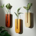 Aura U-Shaped Timber Propagation Vase – Set of 3.