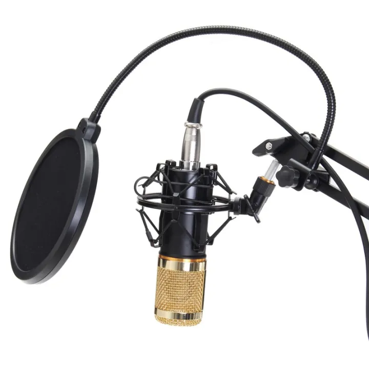 Professional%20Recording%20Microphone%20-%20Image%206