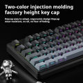 EWEADN Wired Gaming Keyboard, RGB Backlit with Side-Printed Gradient Keycaps, Multimedia Knob Control & Display Screen. 