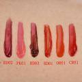 2023 Lipstick Lipgloss Waterproof Long Lasting Lovely Tint Wine Bottle Shape Lip For Women Makeup Gloss Red Cosmetic.