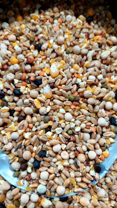 Bhanga%20Vutta%20soho%20homa%20mix%20Pigeon%20Bird%20Dove%20Mix%20-%201kg%20-%20Image%204