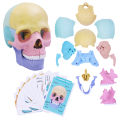 Anatomy Skull Model, 17 Part Puzzle of Human Anatomy Skull for Kids, Mini Human Medical Skull Model with Flash Cards. 