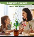 Dancing cactus toy with USB cables. 