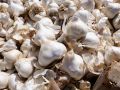 Lehsan G1 For Kitchen Use (1Kg.Garlic G1.). 