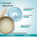 Pilgrim Korean Rice Water Hydra Glow Moisturizer 100 gm. 