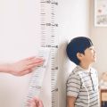2m Wall Height Measurement Card - Easy-to-Read, Contemporary Style, Durable PC Material Used for measuring height. 
