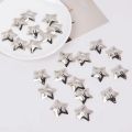 30Pcs Y2K Silver Pentagon Star Hair Clips Matching Bb Clip Ins Mini Metallic Cute Sweet Cool Clip. 