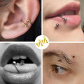 Women's Spiral Earrings Piercing Jewelry Multi-Use Body Jewelry - Lips Nose Septum Tragus Rook Labret Cartilage Hoop Rings . 