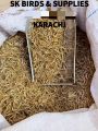 1kg Dry Prawns / Sookha Jheenga/ Dry Shrimps / Sukha Jhinga for Birds, Poultry, Fish, Turtles, Reptiles Etc. 