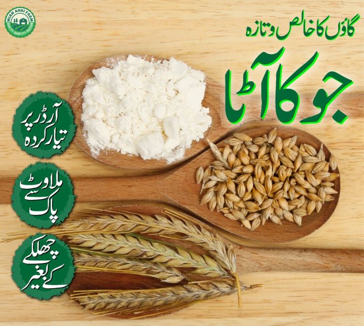 Barley%20Flour%20Jau%20Ka%20Atta%20100%25%20Pure%20Quality%201Kg%20Made%20From%20Stone%20Mill%20-%20Image%203