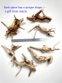 7-26CM 4 Sizes Driftwood Cuckoo Roots Dead-wood Tree Trunk Landscape Creative Reptile Cylinder Fish Tank Ornament Aquarium Decor. 