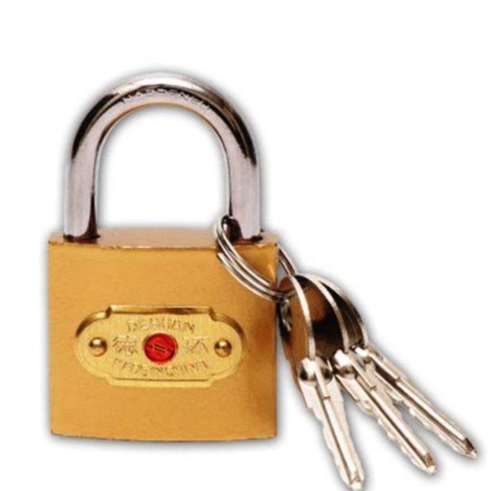 China%20door%20lock%20/%20padlock%20/Gate%20lock%20for%20safety%20-%20Image%202