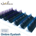 Ombre Green Red Brown Blue Purple Color Eyelash Extension Individual Faux Mink Eyelashes Gradient False Lashes for Makeup Tool. 