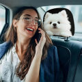 2pcs Cute Pomeranian Print Car Headrest Covers | Easy-to-Install and Wash,.