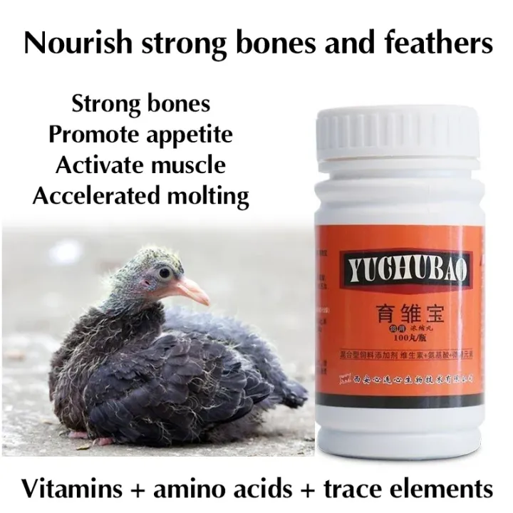 Young pigeon racing pigeon rearing Treasure strong bones, appetite, muscle activation and accelerated molting 100 pills