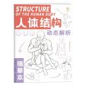 Anime Characters Tracing Sketch Hand Painted Tutorial Book Structure Of The Human Body Copy Practice Line Draft Practice Books.