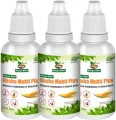 Divya Shri Nasha Mukti Plus | 100% Ayurvedic and Natural | No-Side Effects | Pack of 3 (90 ml ). 