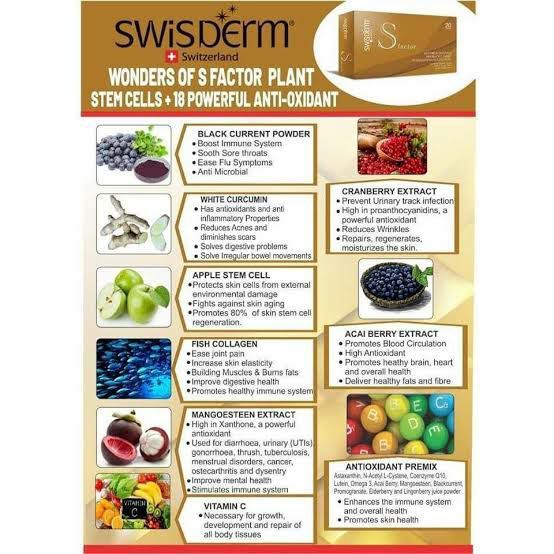 swisderm%20S%20factor%20steam%20cell%20-%20Image%205