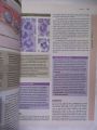 JUNQUEIRAS BASIC HISTOLOGY TEXT AND ATLAS 15TH EDITION BY ANTHONY L. MESCHER. 