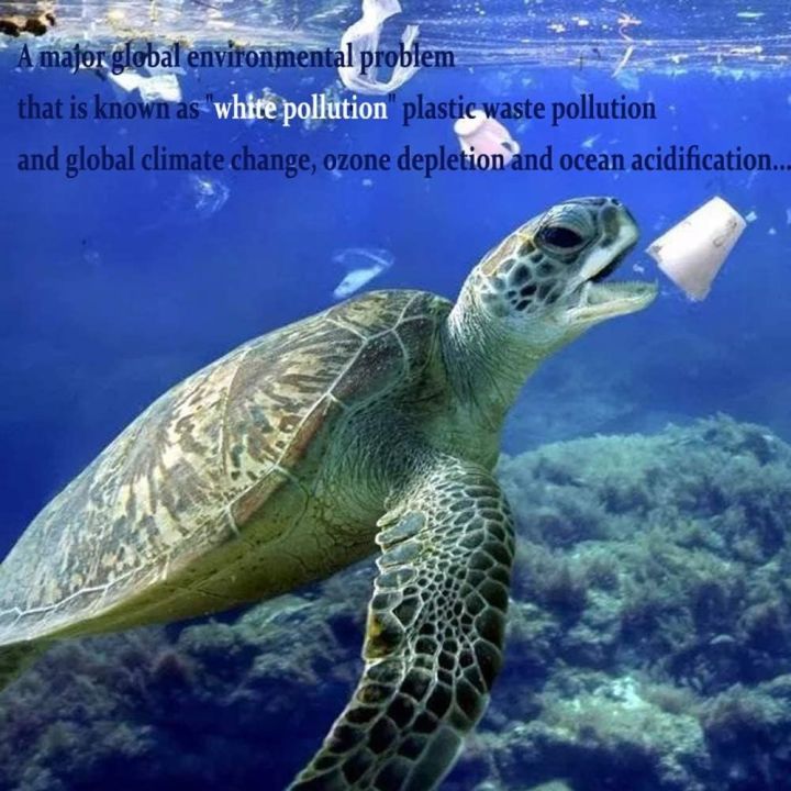 Biodegradable%20Shipping%20Bags,50%20Count%20Compostable%20Poly%20Mailers%20with%20Eco%20Friendly%20Packaging%20Envelopes%20Supplies%20Mailing%20Bags%20-%20Image%206