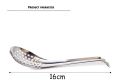 Stainless Steel Serving Spoon. 