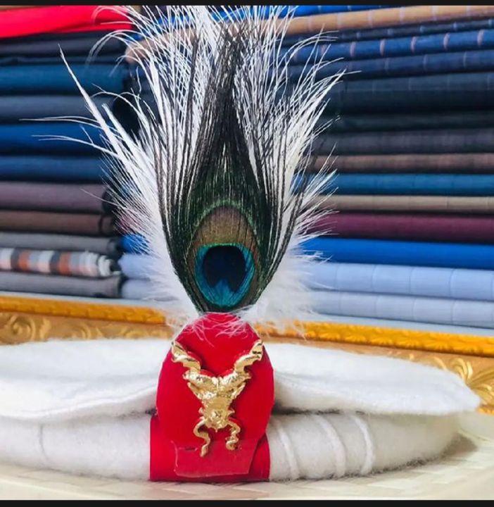 Chitrali cap (pakul) with Markhor best cap for man and fashion ideas ...