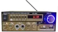 Leli AC/DC Bluetooth Audio Amplifier, AUX, USB Connectivity, Professional Stereo. 