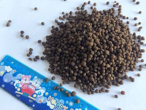 500gram diammonium phosphate DAP Plant, fruit, vegetable and flower plants, general organic manure compound fertilizer for rose