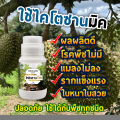 (1 bottle) chitosan, chitosan, chitosan, plant formula, enhanced immunity, plant disease, fungus, virus, bacteria, plant Formula 500 cc.. 