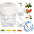 Electric Garlic Chopper, Mini Portable Veggie Chopper, 250ML Garlic Grinder Masher Onion Chopper, Blender to Vegetable, Wireless.
