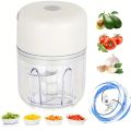 Electric Garlic Chopper, Mini Portable Veggie Chopper, 250ML Garlic Grinder Masher Onion Chopper, Blender to Vegetable, Wireless.