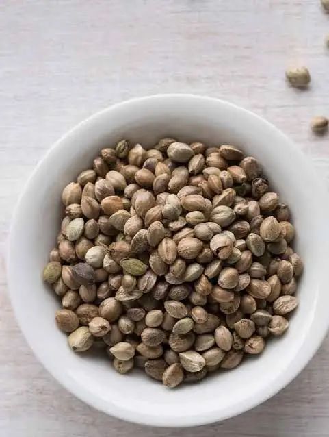 Hemp Seeds | Tukhm e Bhang | Bhang Seeds | 500 gm