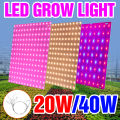 LED Indoor Plant Light Full Spectrum LED Grow Panel Phyto Lamp For Cultivation Planting Flower Seedlings Hydroponics Grow Box. 