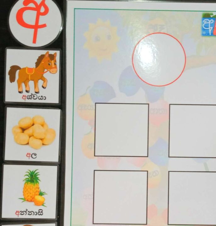 Sinhala sorting activity