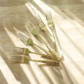 6-Piece Golden Stainless Steel Fork Set – Luxury Printed Design | Random Design. 