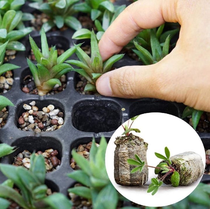 Coco%20Peat%20pellets%20disc%20coir%20Pellets%20Seed%20Starting%20Plugs%20Gardening%20soil%20Pallet%20Seedling%20Soil%20Block%205pcs/10pcs%20-%20Image%207