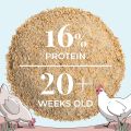 Organic Chicken Feed | Layer (20+ week) Chickens | Organic, Non-GMO, Corn & Soy Free, Non-Medicated Chicken Feed | 16% Protein | Mash  1KG. 