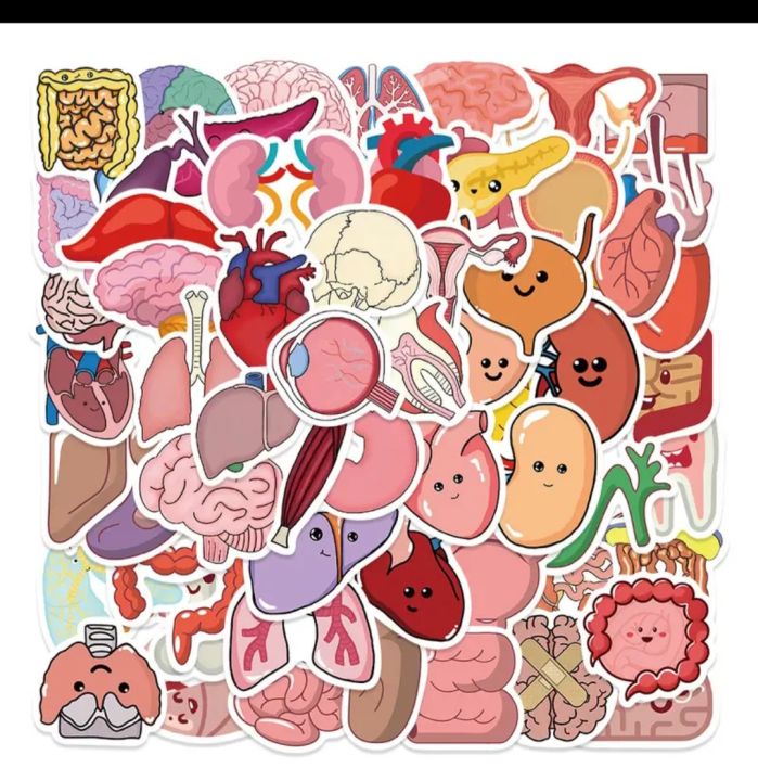 25%20pcs%20internal%20anatomy%20of%20human%20being%20funny%20stickers%20for%20doctor's%20%20laptop,%20mobile%20,diary%20,books%20and%20for%20science%20students%20,kids%20etc...%20-%20Image%205