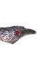 Boys Attitude Eagle Head korean Red eye metal Ring. 