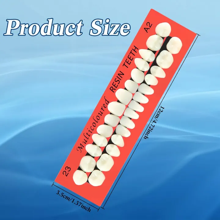 6%20Sets%20Acrylic%20Resin%20Fake%20Teeth%20Artificial%20Teeth%20Denture%20Dental%20Tooth%20Prop%20Synthetic%20Resin%20Denture%20for%20Replacement%20DIY%20Halloween%20-%20Image%204