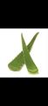 Fresh Aloe Vera Leaves pack of 5 Leaves. 