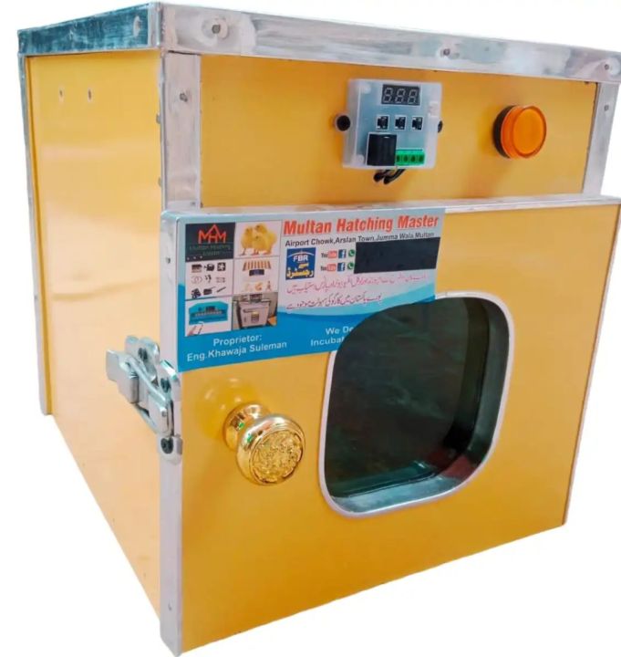 Egg Incubator for Hatching Eggs Semi Automatic - 25-30 Eggs Capacity
