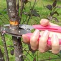 Grafting Cutting Tool Shears For Garden Ring Shape Grafting Cutter Fruit Tree Peeler Bark Stripping Cutting Stainless Steel Gard. 