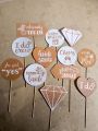 Pack of 12 Bride to Be wedding Props. 