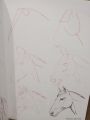 Draw 50 Horses (Draw 50). 